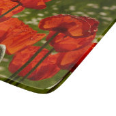 Nahaufnahme von hellen Mohnblumen Schneidebrett (Ecke)