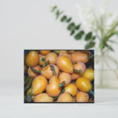 Nahaufnahme von Loquat-Frucht Postkarte (Stehend Vorderseite)