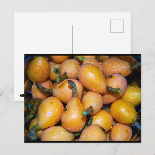 Nahaufnahme von Loquat-Frucht Postkarte (Vorne/Hinten)