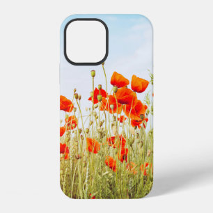 Nahaufnahme von Mohnblumen auf dem Feld. Wilde Blu iPhone 12 Hülle