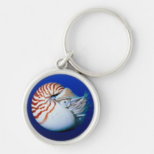 Nahaufnahme Von Nautilus Schlüsselanhänger