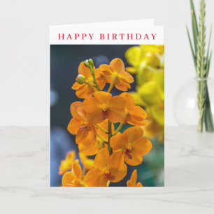 Nahaufnahme von orangen Orchideen zum Geburtstag Karte