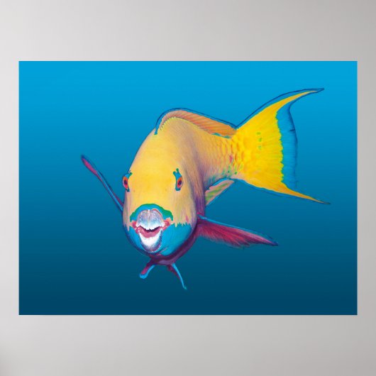 Nahaufnahme von Papageifisch! Blau verlaufender Hi Poster (Vorne)