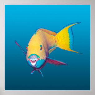 Nahaufnahme von Papageifisch! Farbverlauf blauer H Poster
