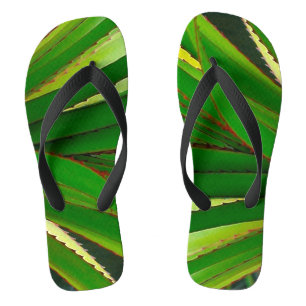 Nahaufnahme von Schraubenpalme Badesandalen