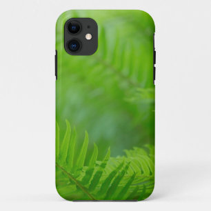 Nahaufnahme von Schwertfarn Case-Mate iPhone Hülle