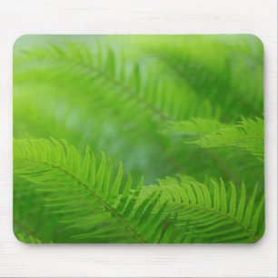 Nahaufnahme von Schwertfarn Mousepad