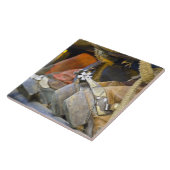 Nahaufnahme von Stiefeln u. von Spornen 2 Fliese (Seite)