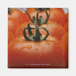 Nahaufnahme von Tomaten 2 Magnet