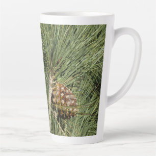 Nahaufnahme von Torrey Pine, Kalifornische Botanik Milchtasse