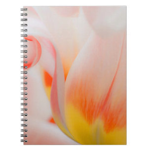 Nahaufnahme von Tulpe 3 Notizblock