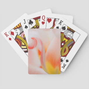 Nahaufnahme von Tulpe 3 Spielkarten