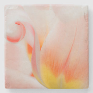 Nahaufnahme von Tulpe 3 Steinuntersetzer