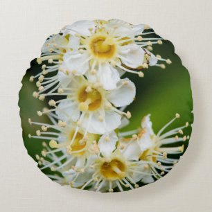 Nahaufnahme von winzigen Blüten Rundes Kissen