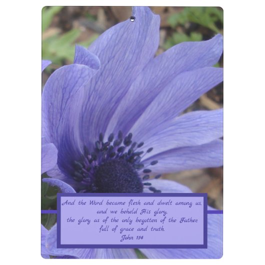 Nahaufnahmemohnblumen-Anemonenklemmbrett Johns 1 Klemmbrett (Rückseite)