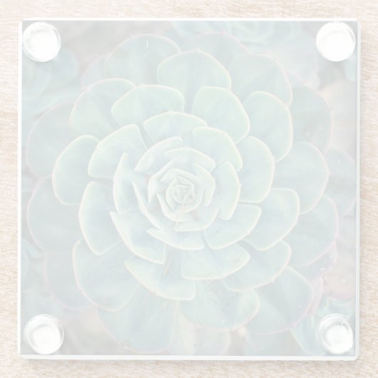 NahaufnahmeSucculent Glasuntersetzer (Rückseite)