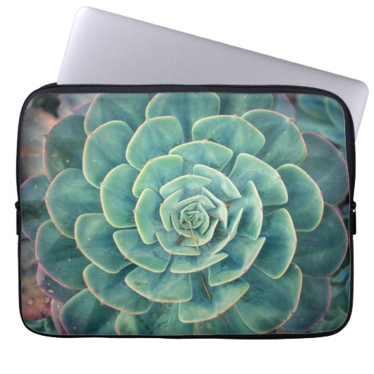 NahaufnahmeSucculent Laptopschutzhülle (Vorderseite)