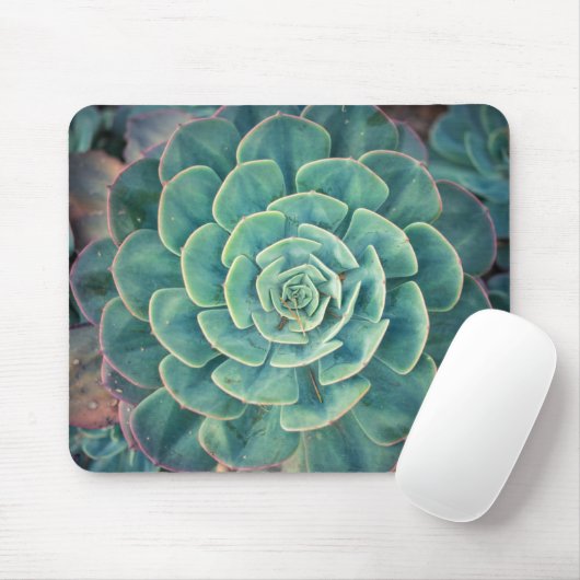 NahaufnahmeSucculent Mousepad (Mit Mouse)