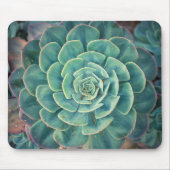 NahaufnahmeSucculent Mousepad (Vorne)