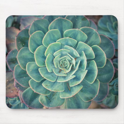 NahaufnahmeSucculent Mousepad (Vorne)