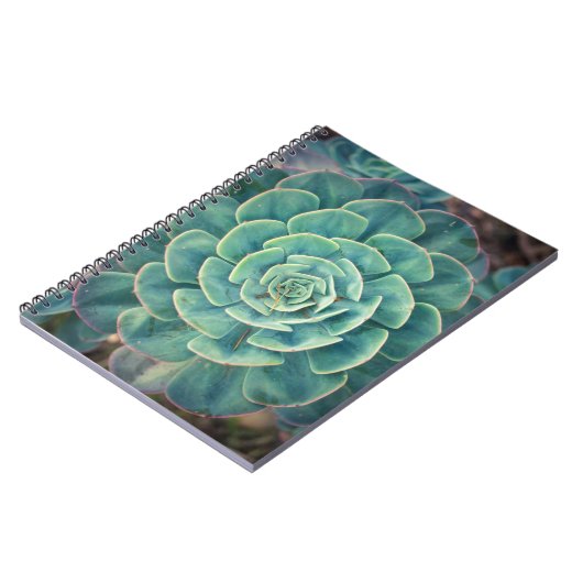 NahaufnahmeSucculent Notizblock (Linke Seite)