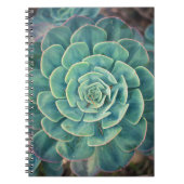 NahaufnahmeSucculent Notizblock (Vorderseite)