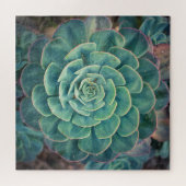NahaufnahmeSucculent Puzzle (Horizontal)