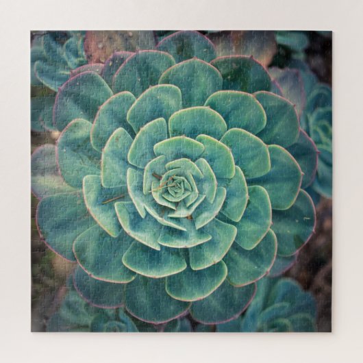 NahaufnahmeSucculent Puzzle (Vertikal)