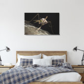 Nahe 3D-Moskitobsbeiße Leinwanddruck (Insitu (Schlafzimmer))