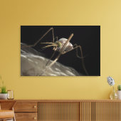 Nahe 3D-Moskitobsbeiße Leinwanddruck (Insitu (Wohnzimmer))