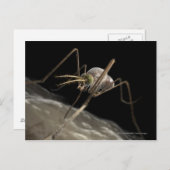 Nahe 3D-Moskitobsbeiße Postkarte (Vorne/Hinten)