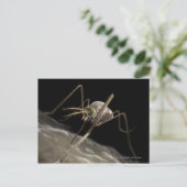 Nahe 3D-Moskitobsbeiße Postkarte (Stehend Vorderseite)