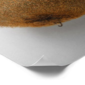 Nahe Anpflanzung von Kiwi 2 Poster (Ecke)