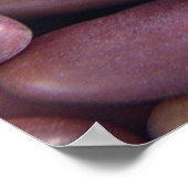 Nahe Anreicherung von Nierenbohnen Poster (Ecke)