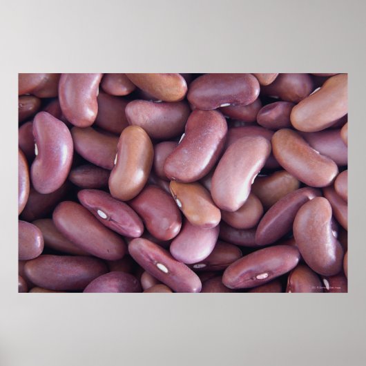Nahe Anreicherung von Nierenbohnen Poster (Vorne)
