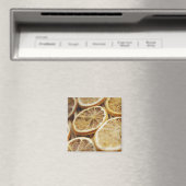 Nahe Ansammlung getrockneter Zitronenscheiben Magnet (In Situ (Geschirrspüler))