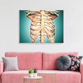 Nahe Ansicht des menschlichen Rippenkäfigs Leinwanddruck (Insitu (Wohnzimmer))