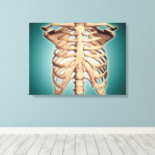 Nahe Ansicht des menschlichen Rippenkäfigs Leinwanddruck (Insitu (Holzboden))