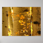 Nahe Aspekte Poster (Vorne)