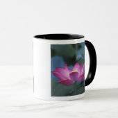 Nahe Aufbereitung von Rot-Lotus-Blume und grünen B Tasse (VorderseiteRechts)