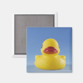 Nahe Aufnahme einer Gummiente Magnet (Vorderseite/Rückseite)