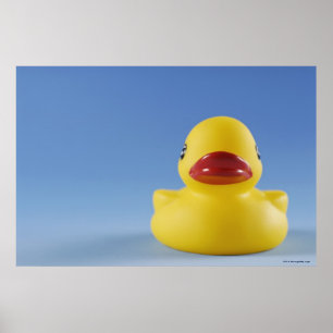 Nahe Aufnahme einer Gummiente Poster