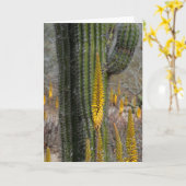 Nahe Aufnahme von Kakteen und Agave Karte (Gelbe Blume)