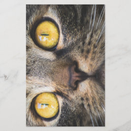 Nahe Aufnahme von Katze mit GelbAugen Briefpapier