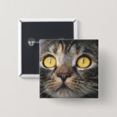 Nahe Aufnahme von Katze mit GelbAugen Button (Vorne & Hinten)