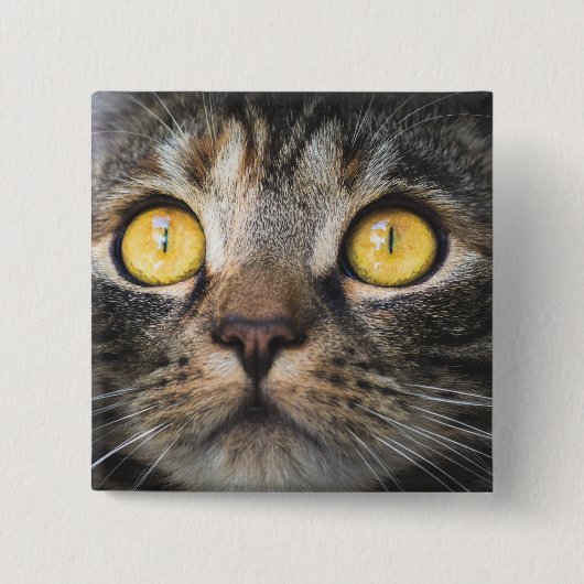 Nahe Aufnahme von Katze mit GelbAugen Button (Vorderseite)