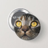 Nahe Aufnahme von Katze mit GelbAugen Button (Vorne & Hinten)
