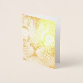 Nahe Aufnahme von Katze mit GelbAugen Folienkarte