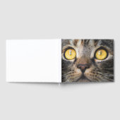 Nahe Aufnahme von Katze mit GelbAugen Gästebuch (Voll)