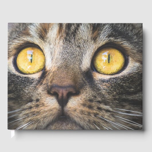 Nahe Aufnahme von Katze mit GelbAugen Gästebuch (Vorderseite)